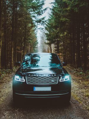 Range Rover dans les bois