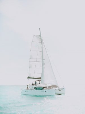 Catamaran blanc
