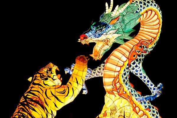 Illustration d'un tigre et d'un dragon