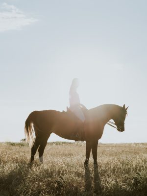 Femme à cheval sous le soleil