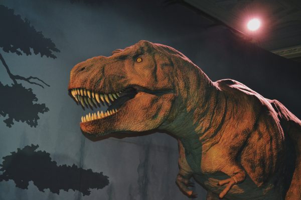 Illustration d'un T-Rex