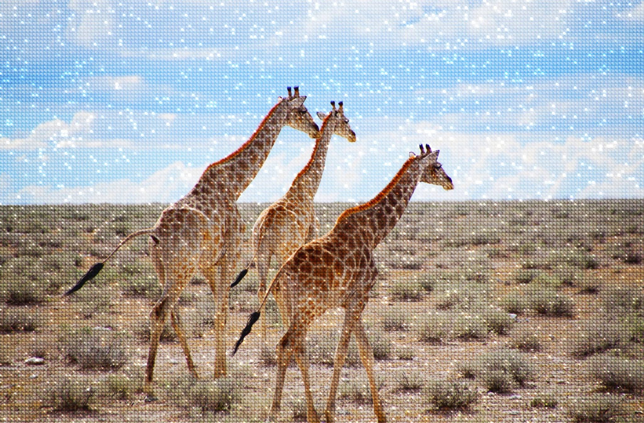 Broderie diamant girafe
