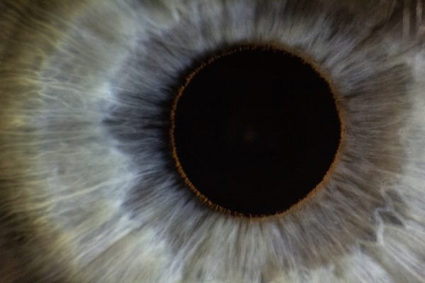Iris d'un oeil gris