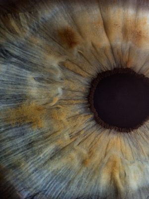 Macrophotographie d'un œil humain