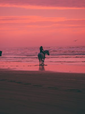 Deux personnes à cheval au bord de la mer