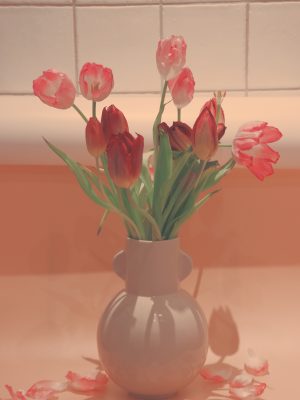 Tulipes roses dans un vase