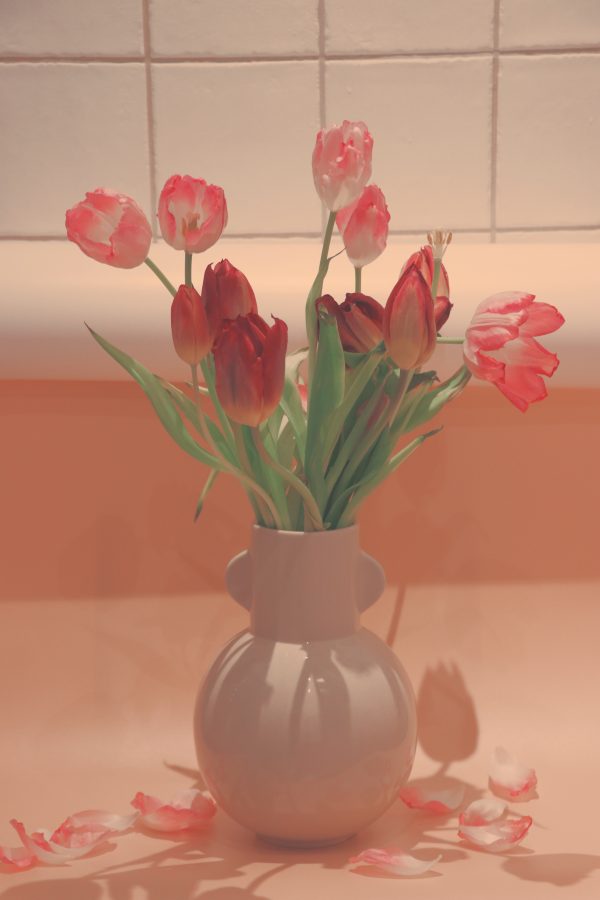 Tulipes roses dans un vase