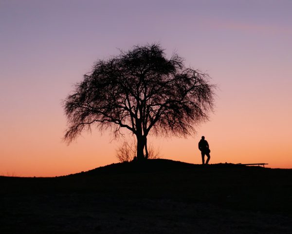 Silhouette d'un arbre et d'un homme