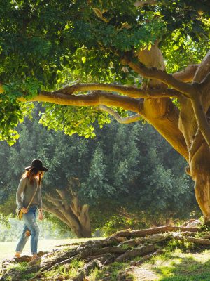 Femme marchant sous un arbre