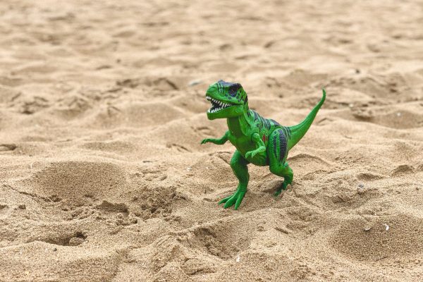 broderie diamant Un dinosaure jouet dans le sable