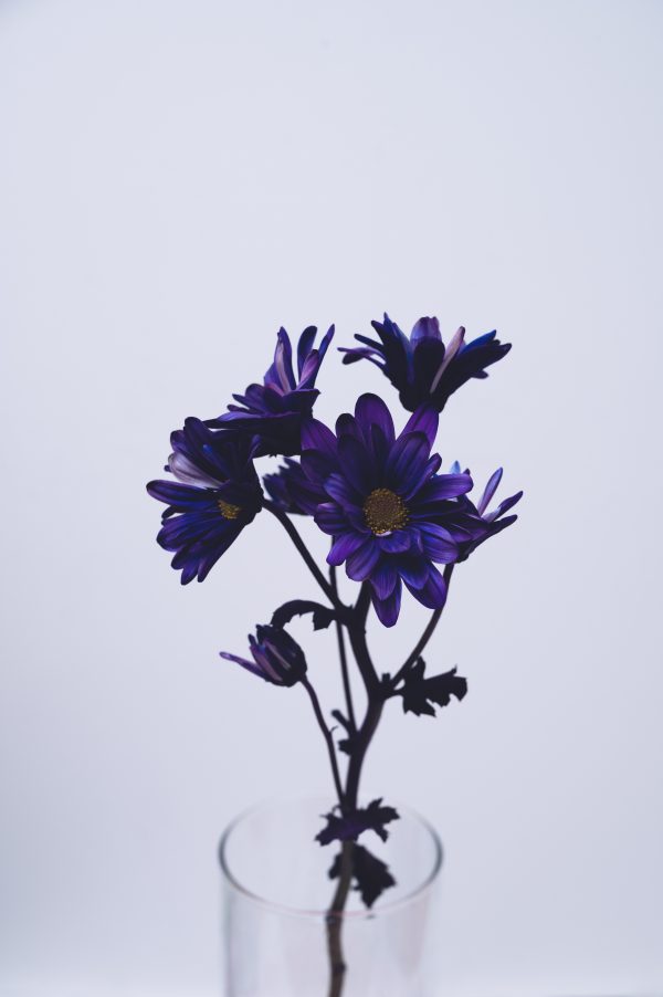broderie diamant Une fleur violette dans un vase en verre