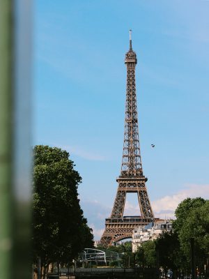broderie diamant Une grande tour métallique avec des arbres et un oiseau au loin avec la Tour Eiffel en arrière-plan