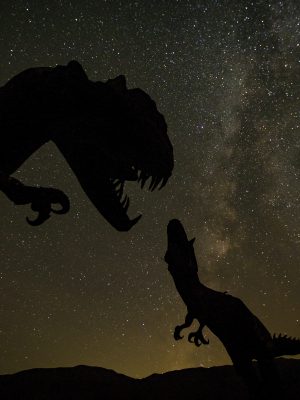broderie diamant Une silhouette de dinosaure et un dinosaure dans le ciel nocturne