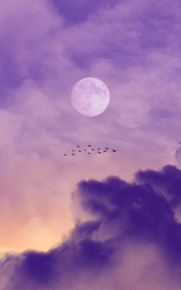 broderie diamant Un groupe d'oiseaux volant dans le ciel avec la lune