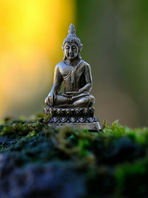 broderie diamant Une petite statue de bouddha assise sur de la mousse