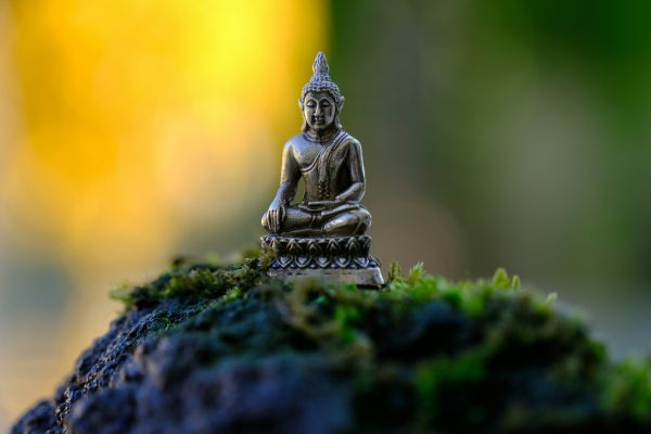 broderie diamant Une petite statue de bouddha assise sur de la mousse